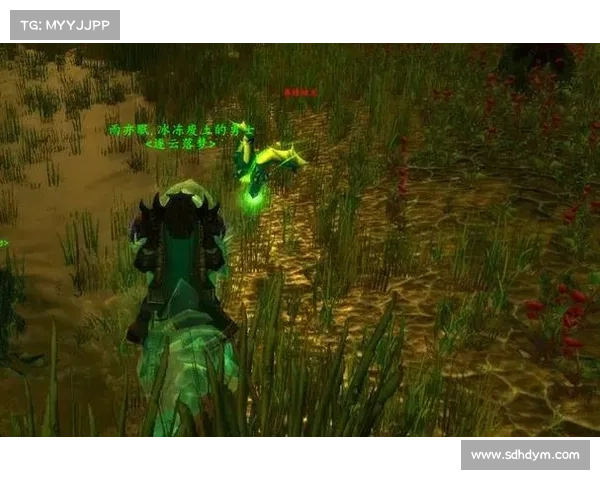 魔兽世界怀旧服：稀有宠物装备收集指南